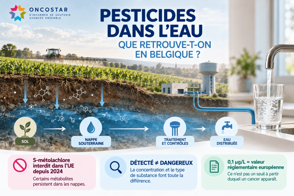 Pesticides dans l’eau potable : que sait-on réellement du S-métolachlore en Belgique ?