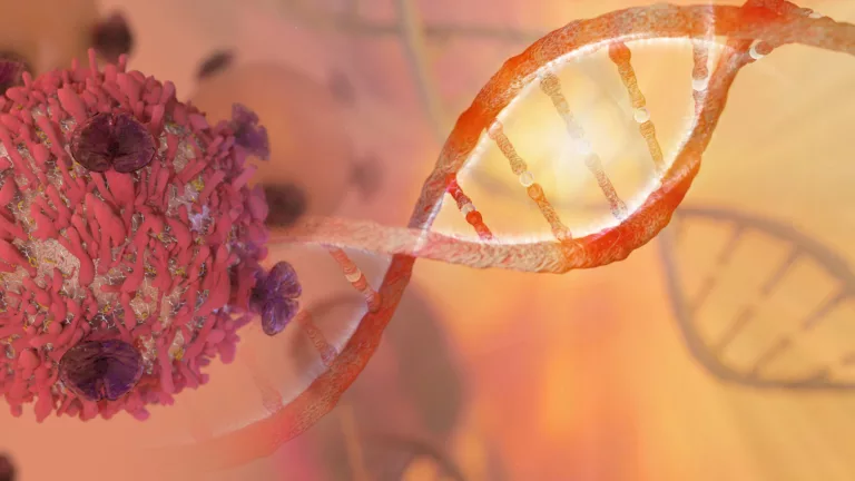 Prévisions alarmantes de l&rsquo;OMS : Explosion des cas de cancer d&rsquo;ici 2050