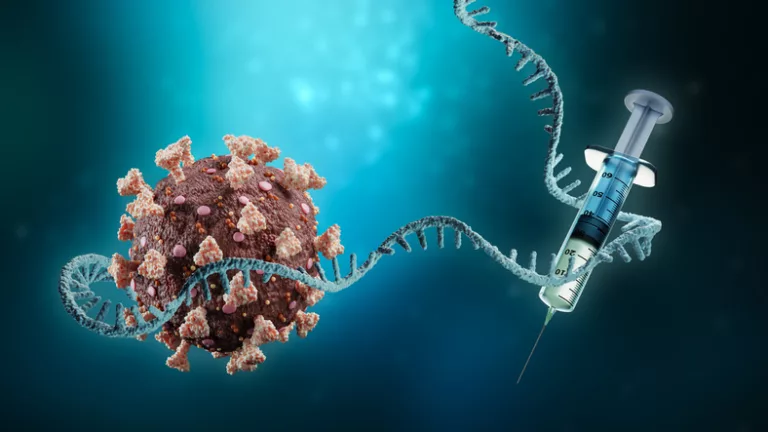 Progrès significatifs dans le traitement du cancer par des chercheurs belges grâce à la technologie ARN messager