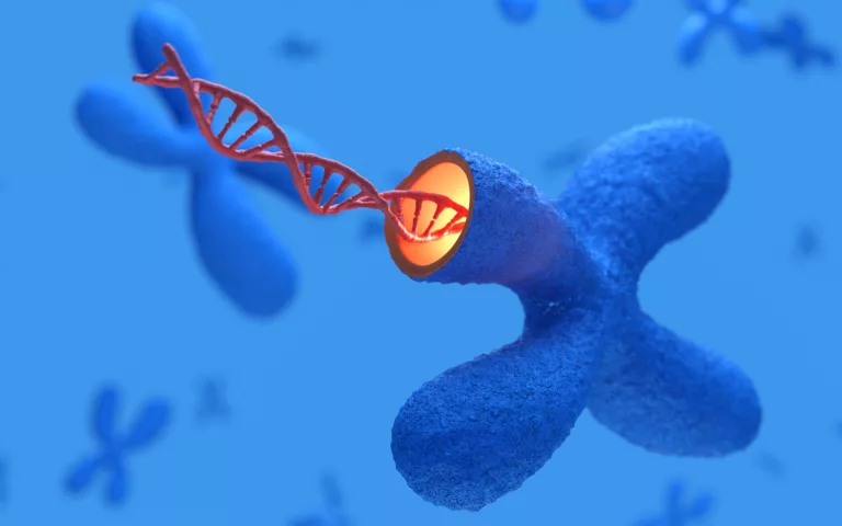 Révolution médicale : une simple prise de sang pour détecter précocement cancers et complications de grossesse