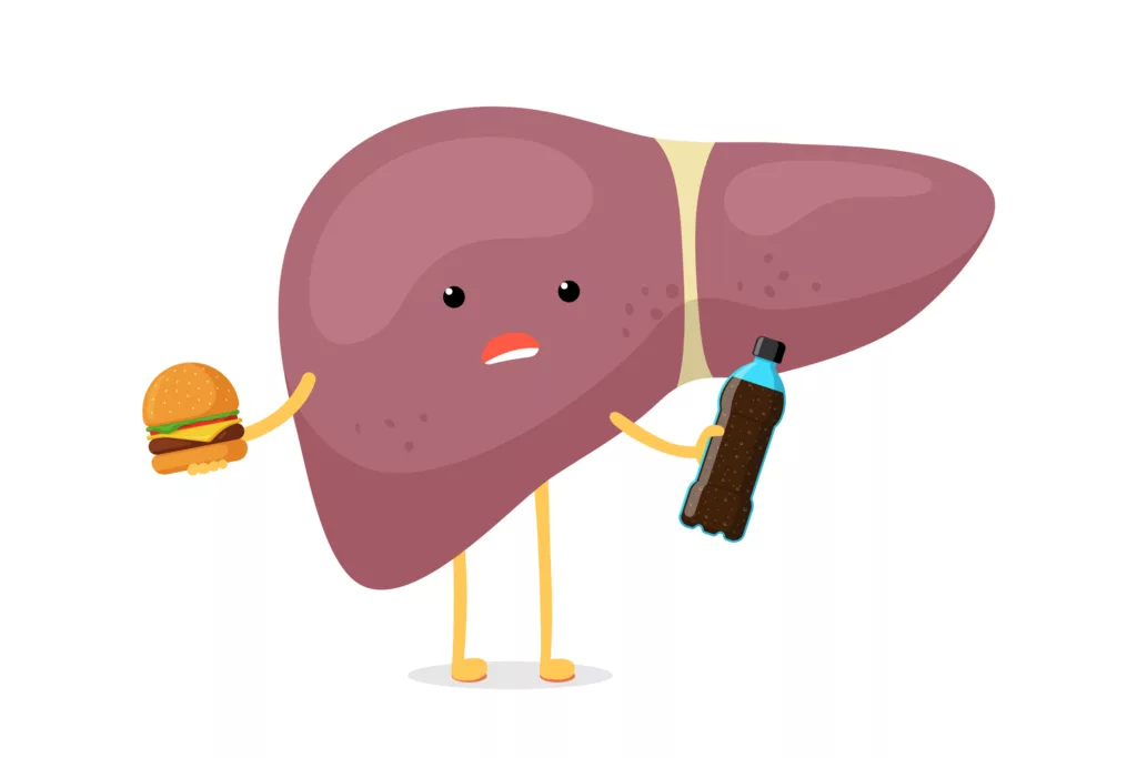 Les sodas quotidiens : Un danger insoupçonné pour votre foie